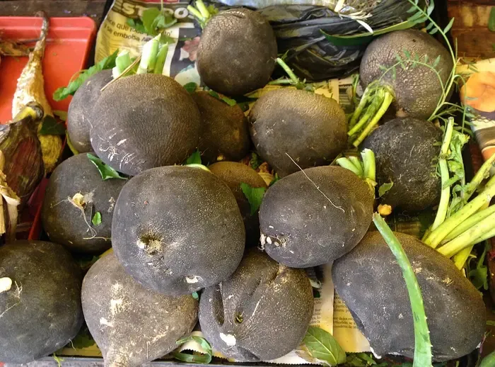 black radish