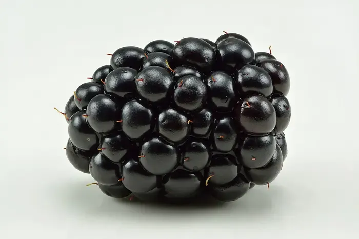 blackberry