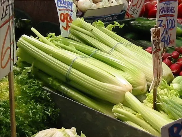 celery