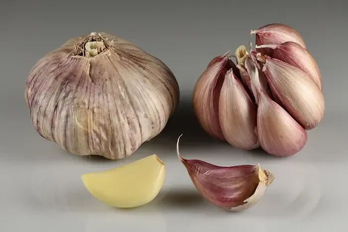 garlic