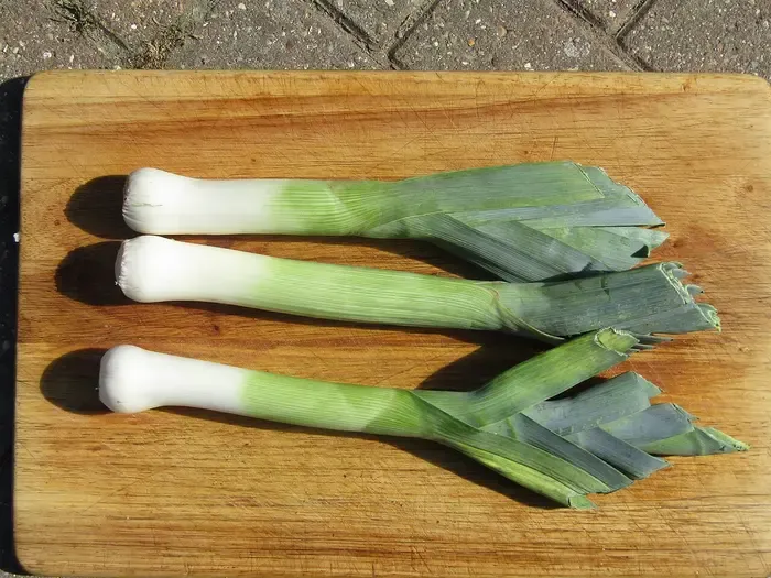 leek