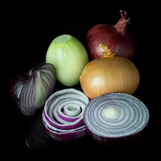 onion