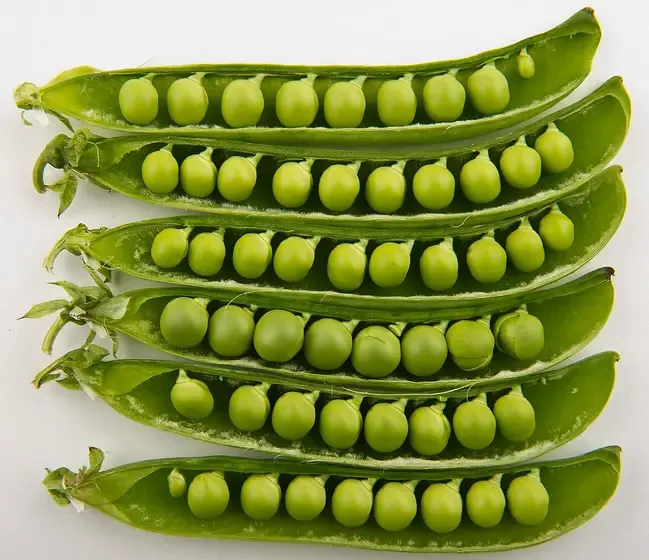 pea